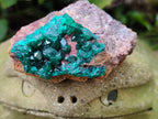 Natural Dioptase on Dolomite Specimens x 6 From Likasi, Congo - Toprock Gemstones and Minerals 