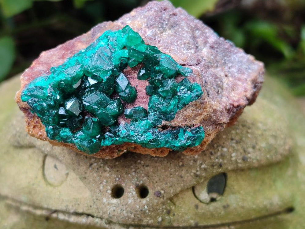Natural Dioptase on Dolomite Specimens x 6 From Likasi, Congo - Toprock Gemstones and Minerals 