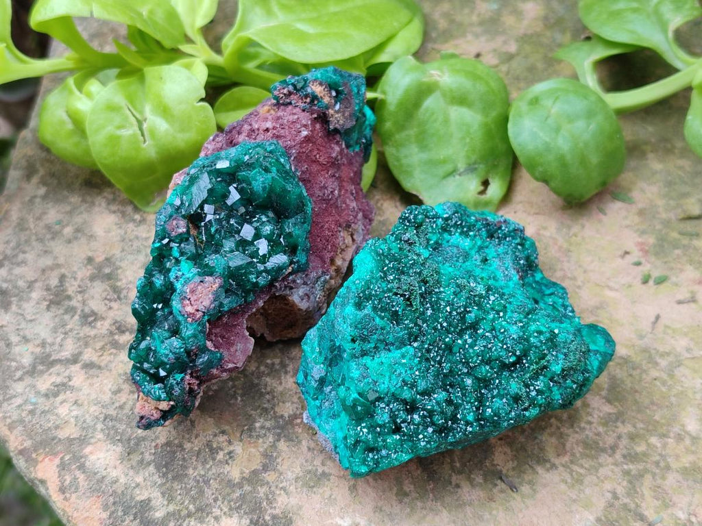 Natural Dioptase on Dolomite Specimens x 6 From Likasi, Congo - Toprock Gemstones and Minerals 