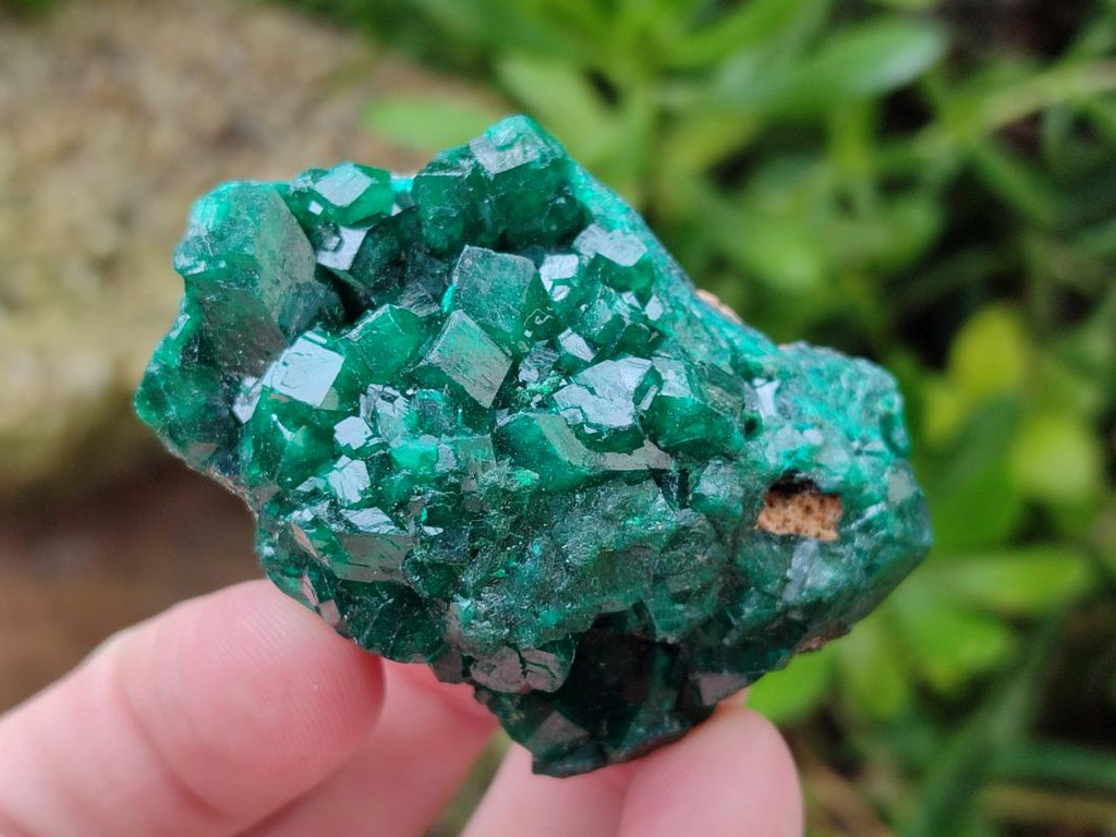 Natural Dioptase on Dolomite Specimens x 6 From Likasi, Congo - Toprock Gemstones and Minerals 