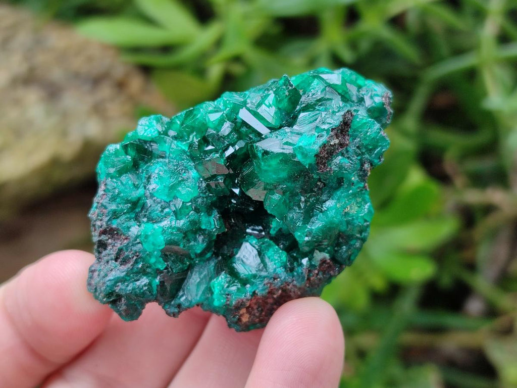 Natural Dioptase on Dolomite Specimens x 6 From Likasi, Congo - Toprock Gemstones and Minerals 