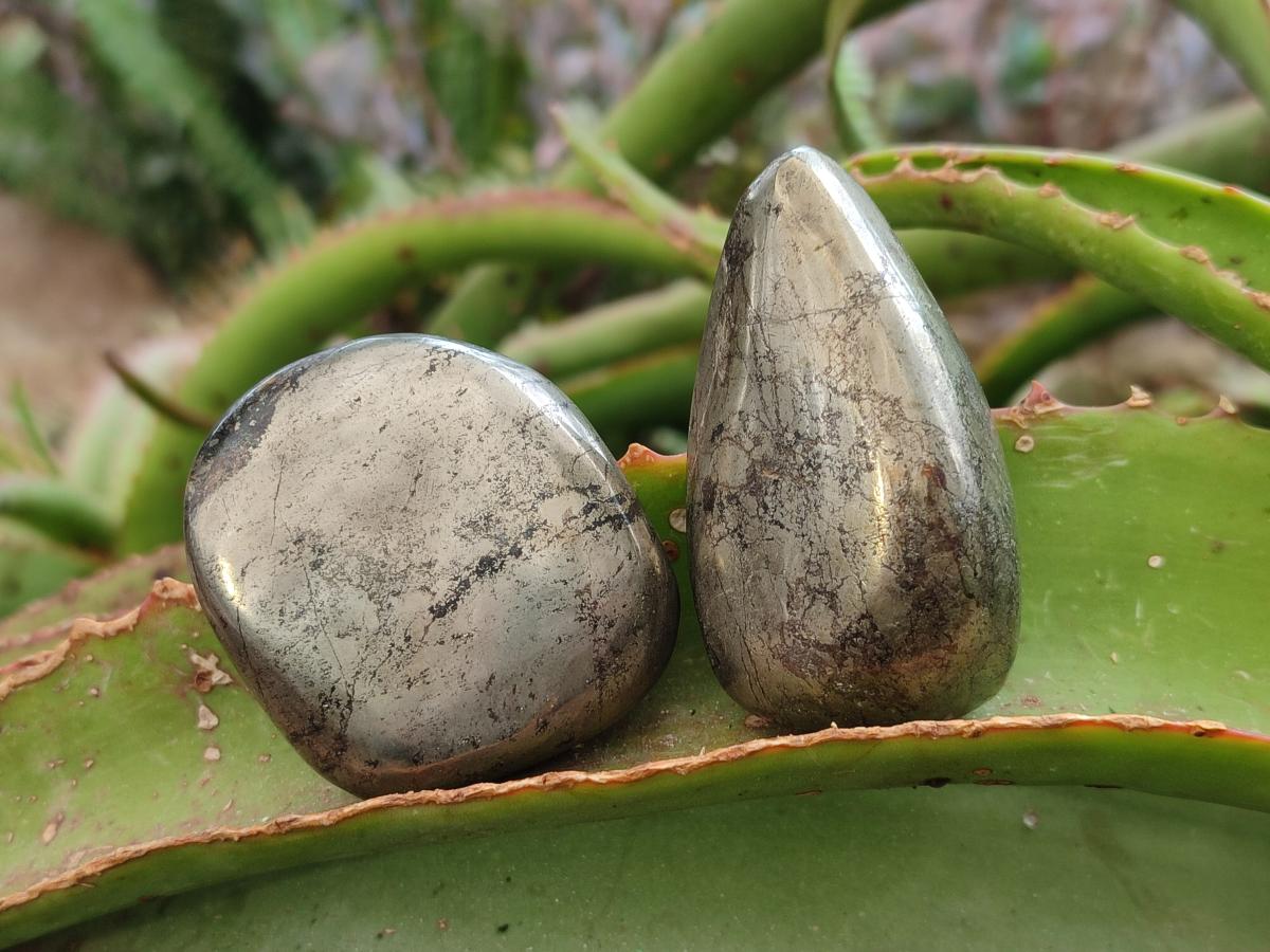 Polished Basalt Pharaoh Stone Free Forms x 12 From Iron Duke Mine, Zimbabwe - Toprock Gemstones and Minerals 