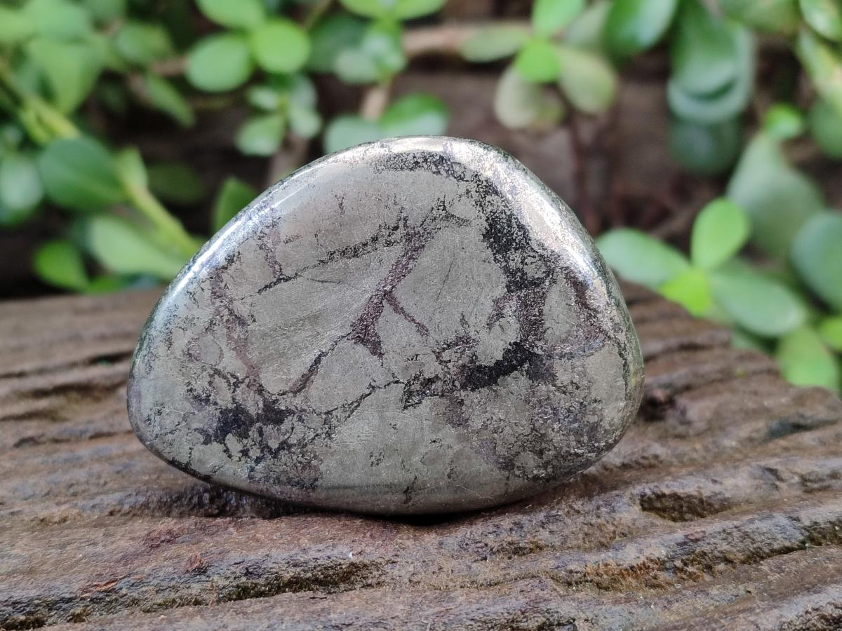Polished Basalt Pharaoh Stone Free Forms x 12 From Iron Duke Mine, Zimbabwe - Toprock Gemstones and Minerals 