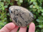 Polished Basalt Pharaoh Stone Free Forms x 12 From Iron Duke Mine, Zimbabwe - Toprock Gemstones and Minerals 