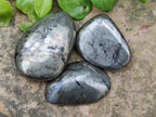 Polished Basalt Pharaoh Stone Free Forms x 12 From Iron Duke Mine, Zimbabwe - Toprock Gemstones and Minerals 