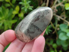 Polished Basalt Pharaoh Stone Free Forms x 12 From Iron Duke Mine, Zimbabwe - Toprock Gemstones and Minerals 