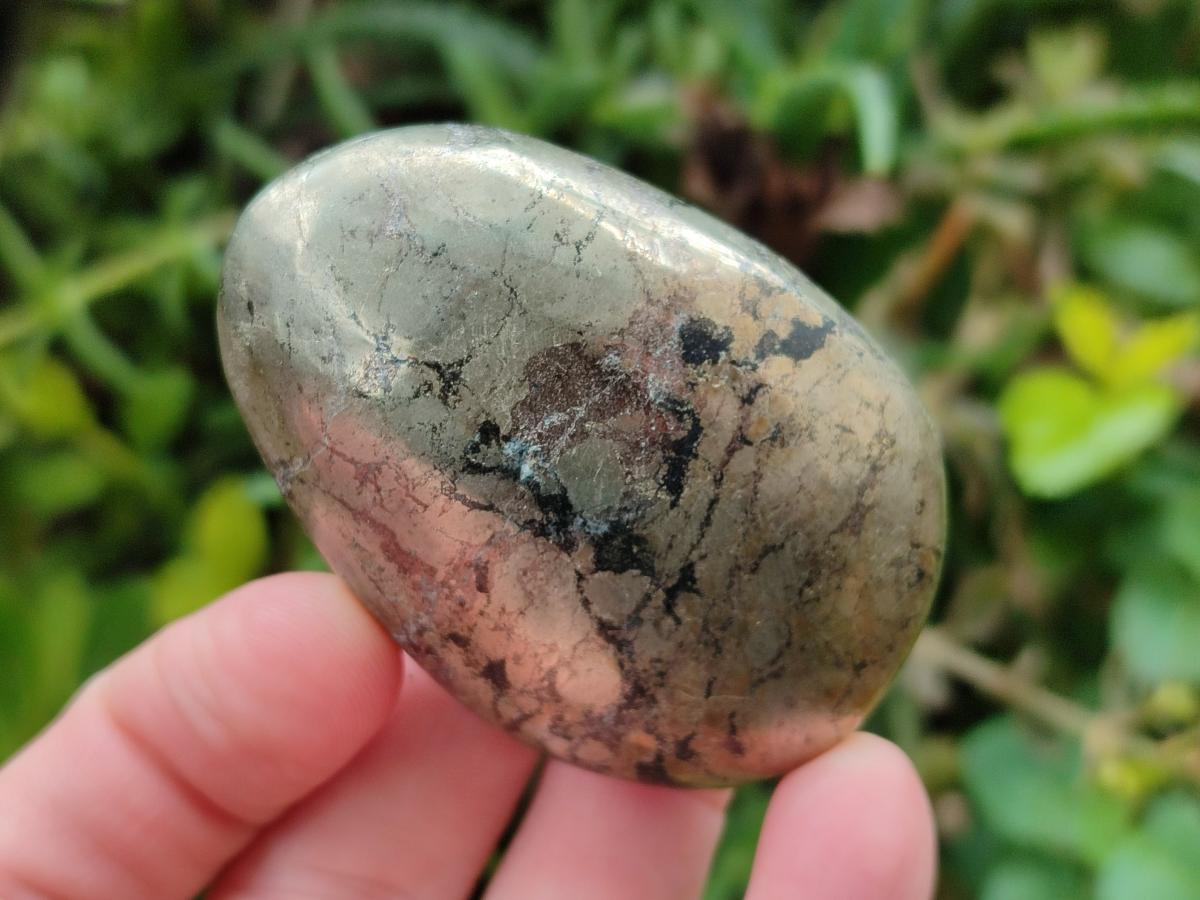 Polished Basalt Pharaoh Stone Free Forms x 12 From Iron Duke Mine, Zimbabwe - Toprock Gemstones and Minerals 