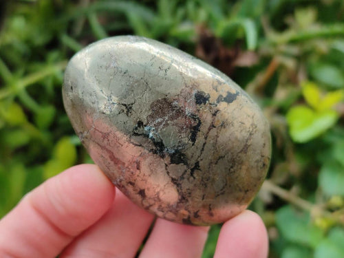 Polished Basalt Pharaoh Stone Free Forms x 12 From Iron Duke Mine, Zimbabwe - Toprock Gemstones and Minerals 