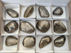 Polished Basalt Pharaoh Stone Free Forms x 12 From Iron Duke Mine, Zimbabwe - Toprock Gemstones and Minerals 