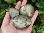 Polished Basalt Pharaoh Stone Free Forms x 12 From Iron Duke Mine, Zimbabwe - Toprock Gemstones and Minerals 