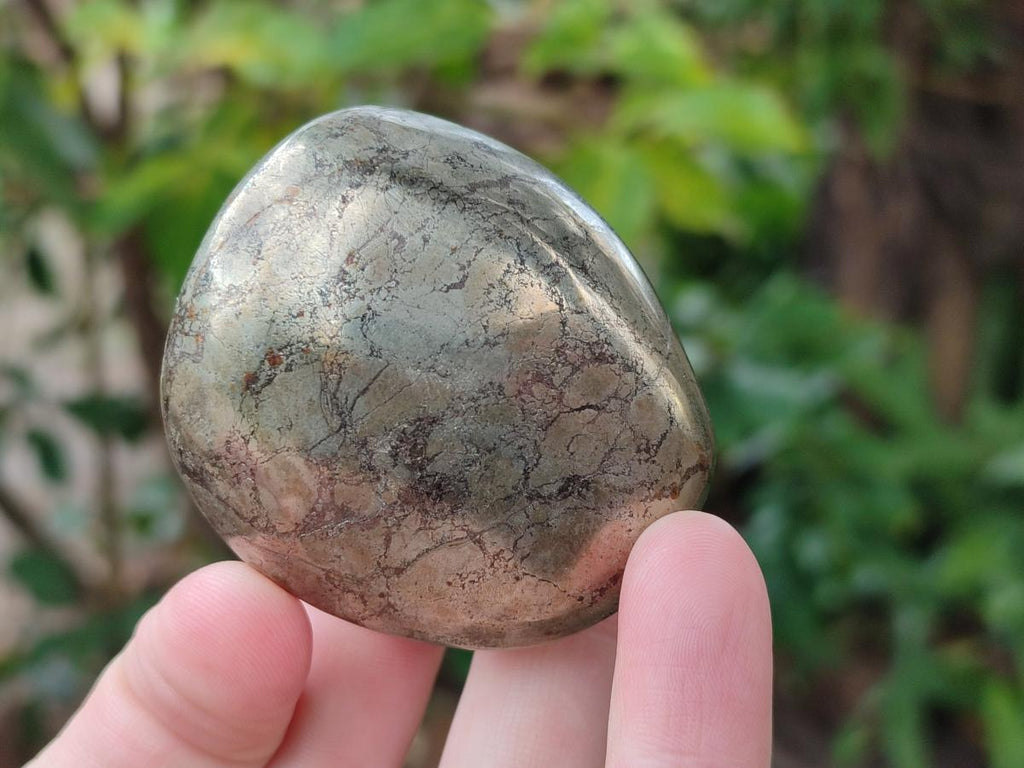 Polished Basalt Pharaoh Stone Free Forms x 12 From Iron Duke Mine, Zimbabwe - Toprock Gemstones and Minerals 