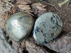 Polished Basalt Pharaoh Stone Free Forms x 12 From Iron Duke Mine, Zimbabwe - Toprock Gemstones and Minerals 