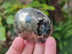 Polished Basalt Pharaoh Stone Free Forms x 12 From Iron Duke Mine, Zimbabwe - Toprock Gemstones and Minerals 