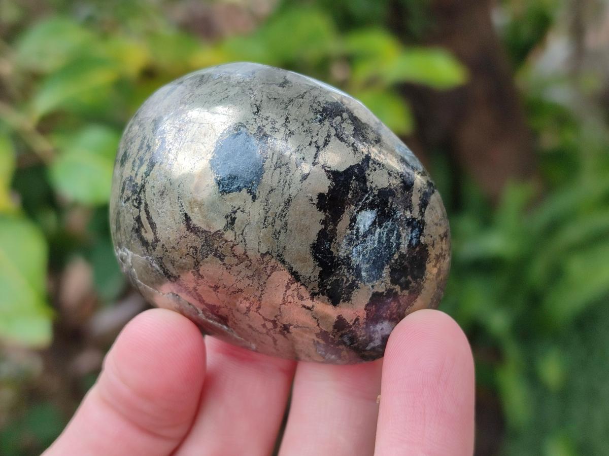 Polished Basalt Pharaoh Stone Free Forms x 12 From Iron Duke Mine, Zimbabwe - Toprock Gemstones and Minerals 