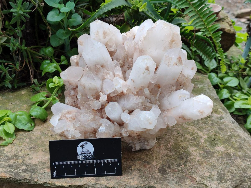 Natural "Anananas" Pineapple Quartz Crystal Cluster x 1 From Antsirabe, Madagascar - Toprock Gemstones and Minerals 