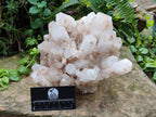 Natural "Anananas" Pineapple Quartz Crystal Cluster x 1 From Antsirabe, Madagascar - Toprock Gemstones and Minerals 