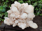 Natural "Anananas" Pineapple Quartz Crystal Cluster x 1 From Antsirabe, Madagascar - Toprock Gemstones and Minerals 