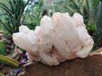 Natural "Anananas" Pineapple Quartz Crystal Cluster x 1 From Antsirabe, Madagascar - Toprock Gemstones and Minerals 