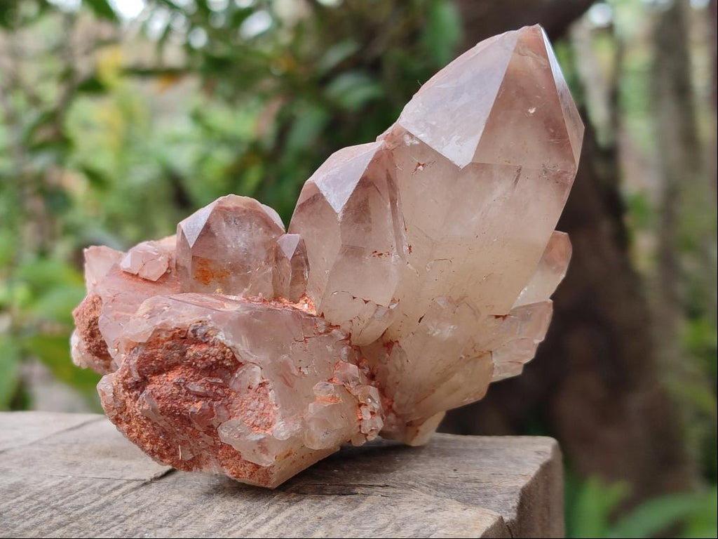 Natural Red Hematoid Quartz Crystal Clusters x 6 From Karoi, Zimbabwe - Toprock Gemstones and Minerals 
