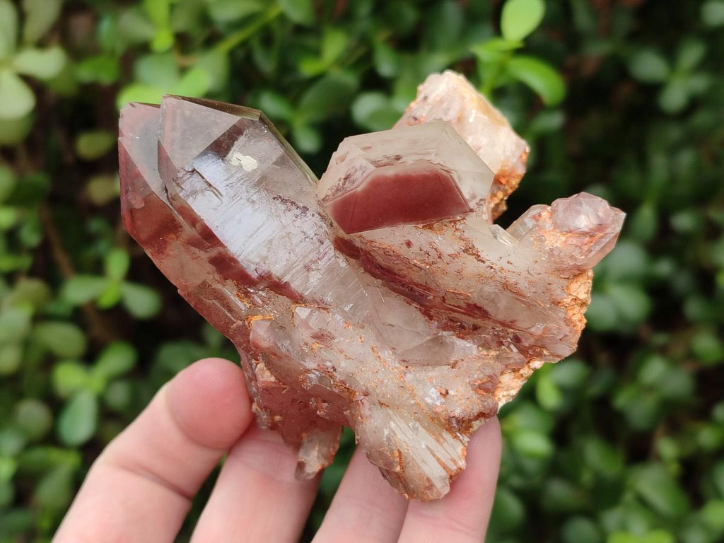 Natural Red Hematoid Quartz Crystal Clusters x 6 From Karoi, Zimbabwe - Toprock Gemstones and Minerals 