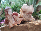 Natural Red Hematoid Quartz Crystal Clusters x 6 From Karoi, Zimbabwe - Toprock Gemstones and Minerals 