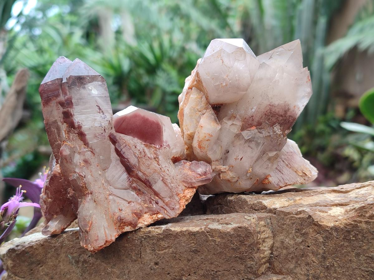 Natural Red Hematoid Quartz Crystal Clusters x 6 From Karoi, Zimbabwe - Toprock Gemstones and Minerals 