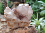 Natural Red Hematoid Quartz Crystal Clusters x 6 From Karoi, Zimbabwe - Toprock Gemstones and Minerals 