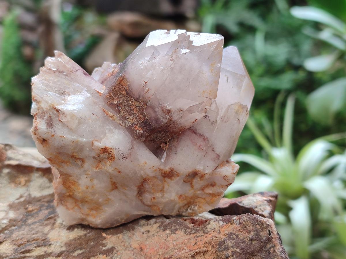 Natural Red Hematoid Quartz Crystal Clusters x 6 From Karoi, Zimbabwe - Toprock Gemstones and Minerals 