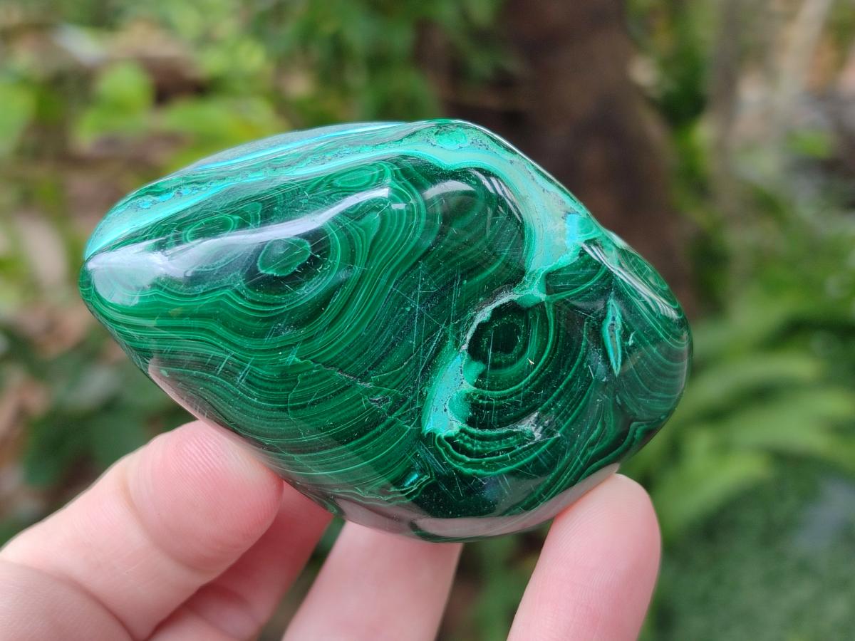 Polished Malacolla Free Forms x 6 From Kulukuluku, Congo - Toprock Gemstones and Minerals 