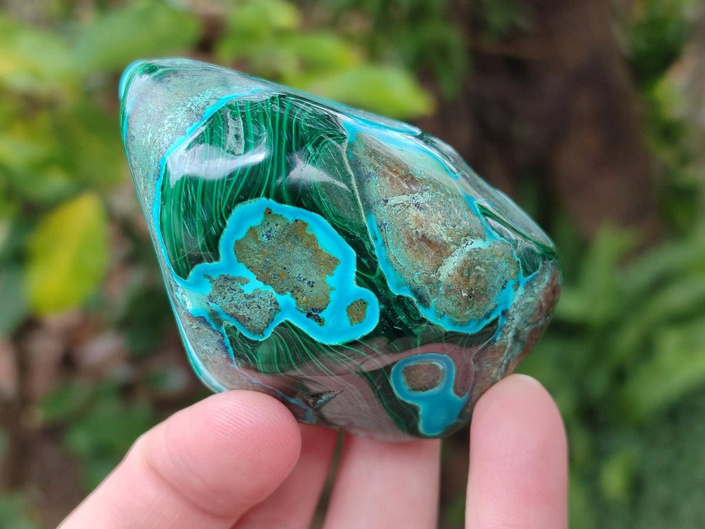 Polished Malacolla Free Forms x 6 From Kulukuluku, Congo - Toprock Gemstones and Minerals 