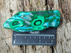 Polished Malacolla Free Forms x 6 From Kulukuluku, Congo - Toprock Gemstones and Minerals 