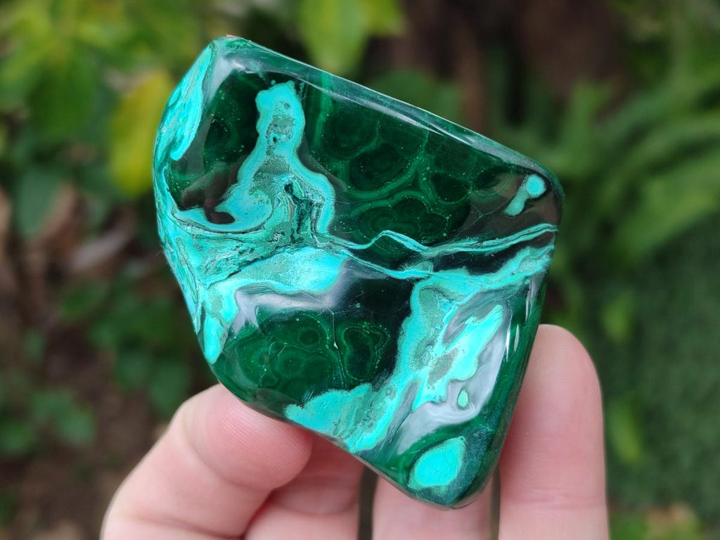 Polished Malacolla Free Forms x 6 From Kulukuluku, Congo - Toprock Gemstones and Minerals 