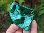 Polished Malacolla Free Forms x 6 From Kulukuluku, Congo - Toprock Gemstones and Minerals 