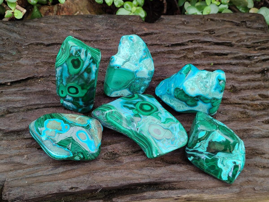 Polished Malacolla Free Forms x 6 From Kulukuluku, Congo - Toprock Gemstones and Minerals 