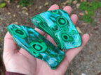 Polished Malacolla Free Forms x 6 From Kulukuluku, Congo - Toprock Gemstones and Minerals 