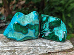 Polished Malacolla Free Forms x 6 From Kulukuluku, Congo - Toprock Gemstones and Minerals 