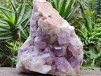 Natural Large Jacaranda Amethyst Crystal Cluster x 1 From Mumbwa, Zambia - Toprock Gemstones and Minerals 