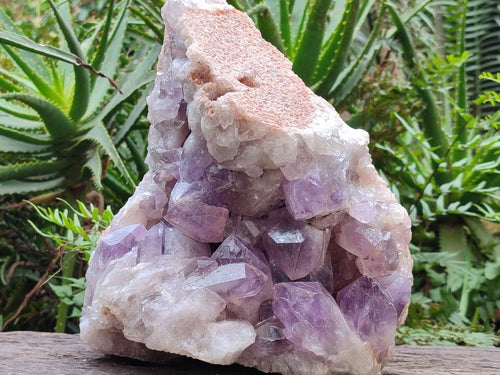 Natural Large Jacaranda Amethyst Crystal Cluster x 1 From Mumbwa, Zambia - Toprock Gemstones and Minerals 
