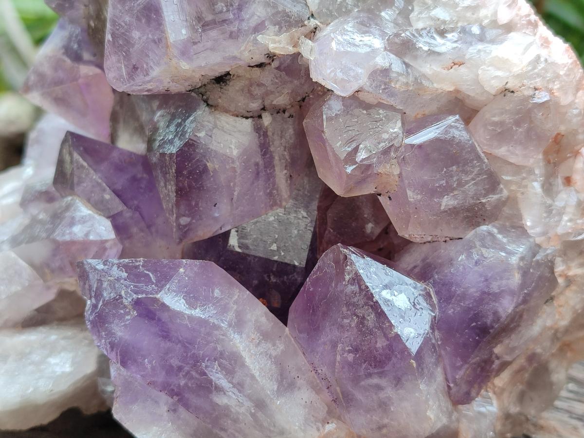 Natural Large Jacaranda Amethyst Crystal Cluster x 1 From Mumbwa, Zambia - Toprock Gemstones and Minerals 