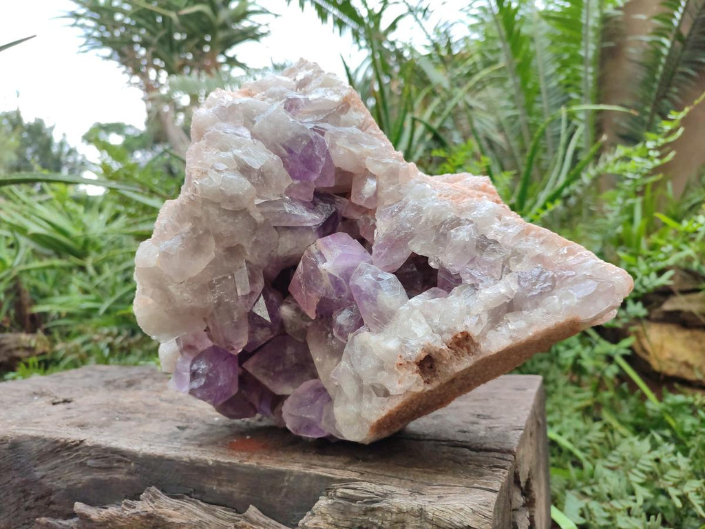 Natural Large Jacaranda Amethyst Crystal Cluster x 1 From Mumbwa, Zambia - Toprock Gemstones and Minerals 