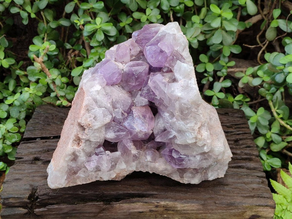 Natural Large Jacaranda Amethyst Crystal Cluster x 1 From Mumbwa, Zambia - Toprock Gemstones and Minerals 