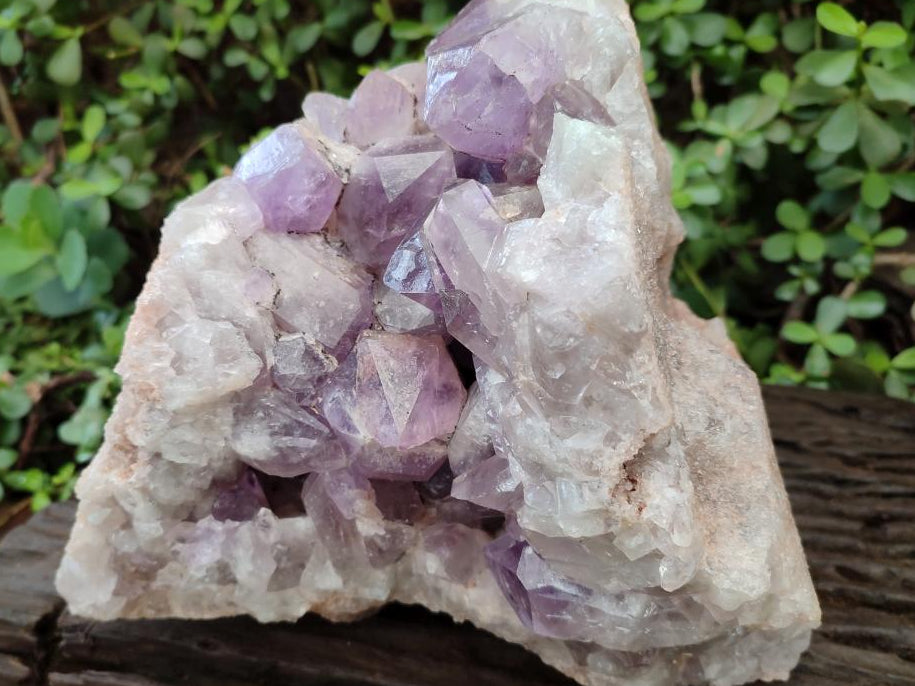 Natural Large Jacaranda Amethyst Crystal Cluster x 1 From Mumbwa, Zambia - Toprock Gemstones and Minerals 