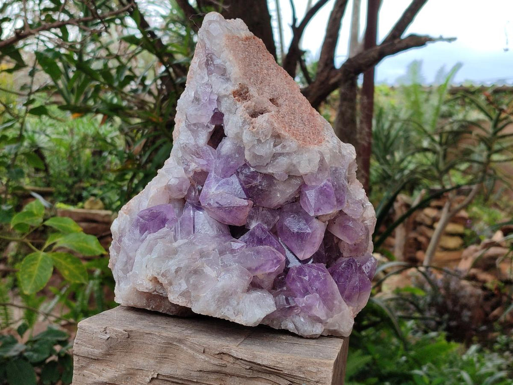 Natural Large Jacaranda Amethyst Crystal Cluster x 1 From Mumbwa, Zambia - Toprock Gemstones and Minerals 