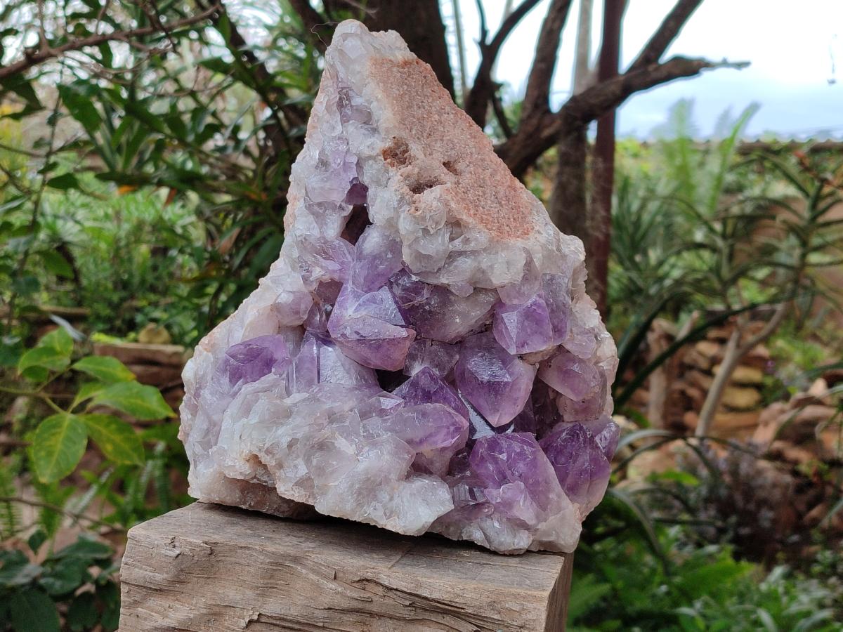 Natural Large Jacaranda Amethyst Crystal Cluster x 1 From Mumbwa, Zambia - Toprock Gemstones and Minerals 