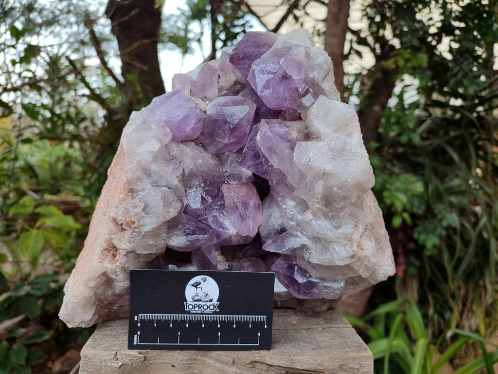 Natural Large Jacaranda Amethyst Crystal Cluster x 1 From Mumbwa, Zambia - Toprock Gemstones and Minerals 
