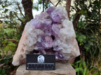 Natural Large Jacaranda Amethyst Crystal Cluster x 1 From Mumbwa, Zambia - Toprock Gemstones and Minerals 