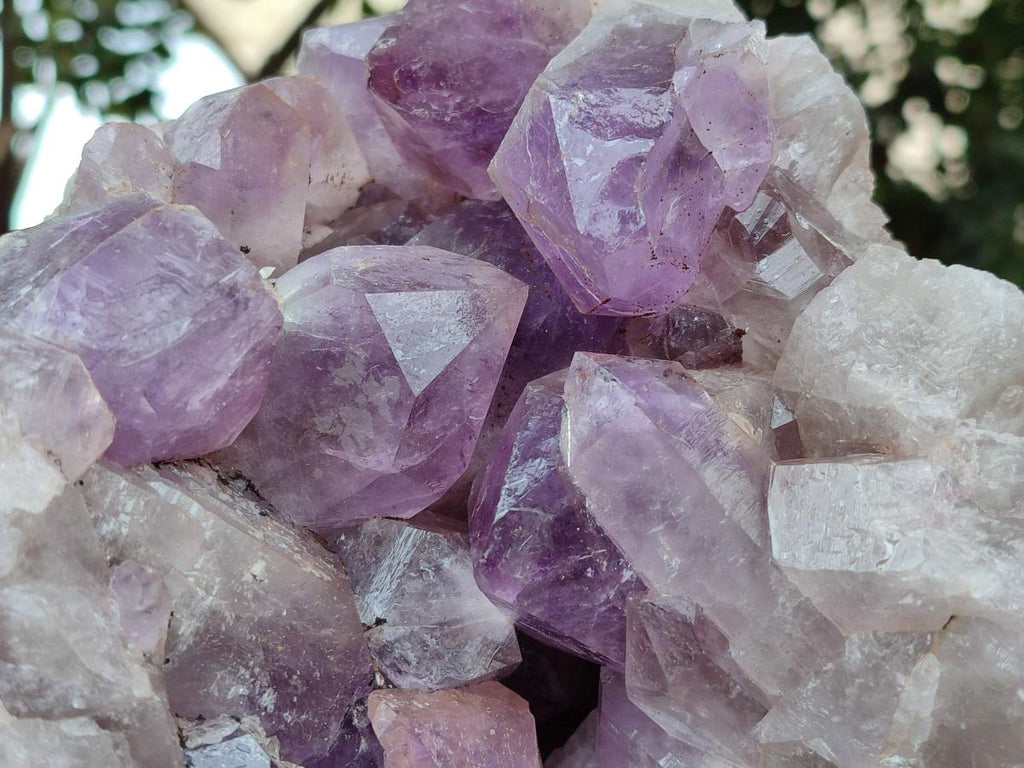 Natural Large Jacaranda Amethyst Crystal Cluster x 1 From Mumbwa, Zambia - Toprock Gemstones and Minerals 