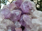 Natural Large Jacaranda Amethyst Crystal Cluster x 1 From Mumbwa, Zambia - Toprock Gemstones and Minerals 