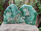 Polished On One Side Mtorolite Chrysoprase Plates x 6 From Mutorashanga, Zimbabwe - Toprock Gemstones and Minerals 