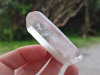 Natural Clear Quartz Single Crystals x 48 From Ambatofinandrahana, Madagascar - Toprock Gemstones and Minerals 